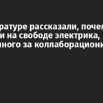 В прокуратуре рассказали, почему оставили на свободе электрика, осужденного за коллаборационизм