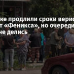 В Донецке продлили сроки верификации SIM-карт «Феникса», но очереди никуда не делись