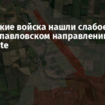 Российские войска нашли слабое место на Новопавловском направлении – DeepState
