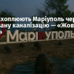 Щури захоплюють Маріуполь через зруйновану каналізацію — «Жовта Стрічка»