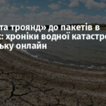 Від «міста троянд» до пакетів в унітазах: хроніки водної катастрофи в Донецьку онлайн (оновлюється)