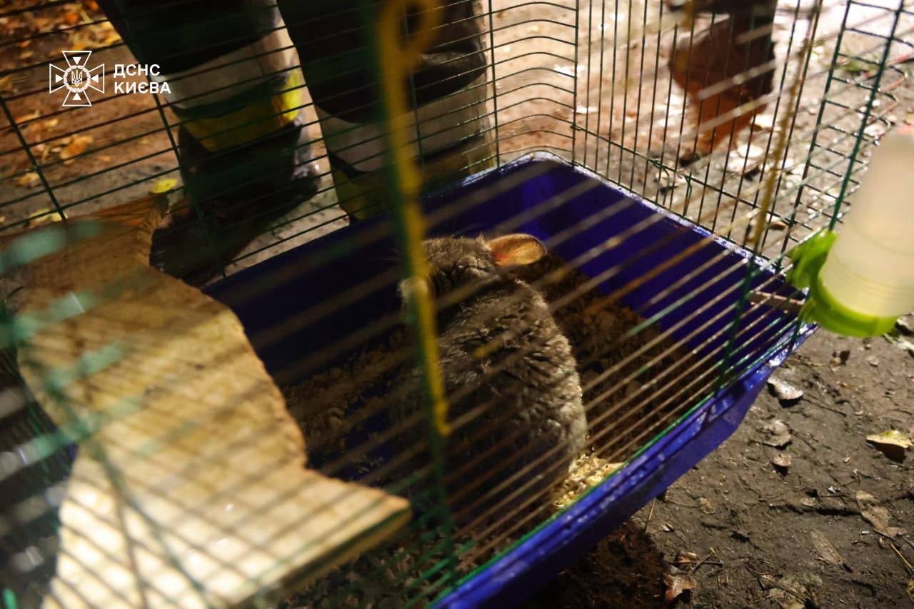 Київ зазнав комбінованої російської атаки. Фото: ДСНС Києва