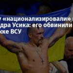 В Крыму «национализировали» имущество Александра Усика: его обвинили в поддержке ВСУ