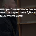 Экс-директора Лиманского лесхоза подозревают в переплате 1,6 миллиона гривен на закупке дров