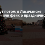 Причешут потом: в Лисичанске разоблачили фейк о праздничной елке