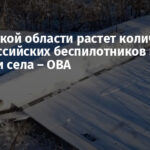 В Донецкой области растет количество атак российских беспилотников на города и села – ОВА