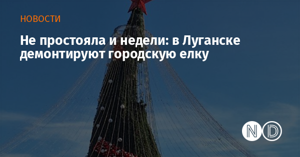 Не простояла и недели: в Луганске демонтируют городскую елку