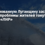 Оккупированную Луганщину засыпало снегом: проблемы жителей тонут в отчетах «ЛНР»