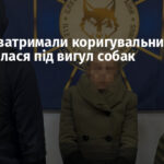 В Одесі затримали коригувальницю, яка маскувалася під вигул собак