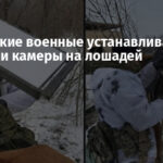 Российские военные устанавливают Starlink и камеры на лошадей
