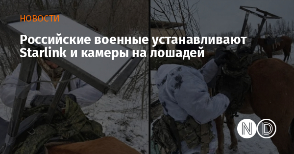 Российские военные устанавливают Starlink и камеры на лошадей Российские военные устанавливают Starlink и камеры на лошадей