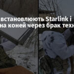 Росіяни встановлюють Starlink і камери на коней через брак техніки
