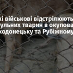 Російські військові відстрілюють безпритульних тварин в окупованих Сіверськодонецьку та Рубіжному – ОВА