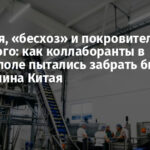 Черешня, «бесхоз» и покровительство Балицкого: как коллаборанты в Мелитополе пытались забрать бизнес гражданина Китая