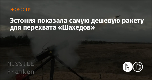 Эстония показала самую дешевую ракету для перехвата «Шахедов»