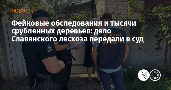 Фейковые обследования и тысячи срубленных деревьев: дело Славянского лесхоза передали в суд