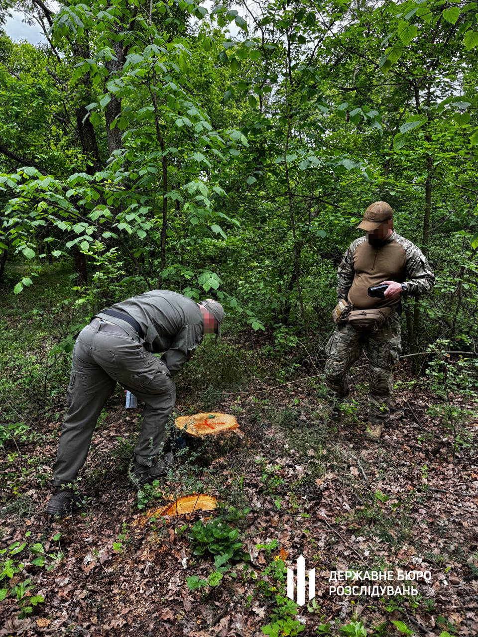 Фото: Державне бюро розслідувань