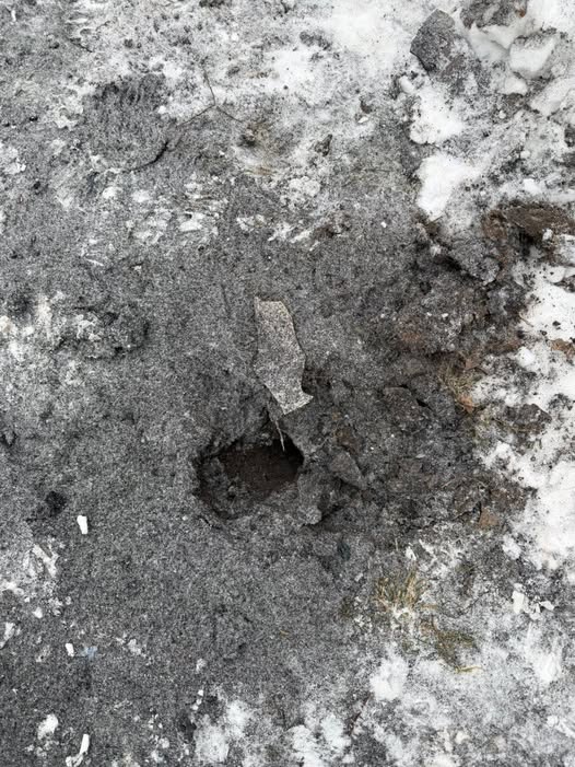 Фото: Вадим Лях