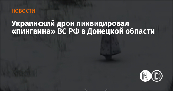 Украинский дрон ликвидировал «пингвина» ВС РФ в Донецкой области