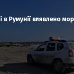 На пляжі в Румунії виявлено морську міну