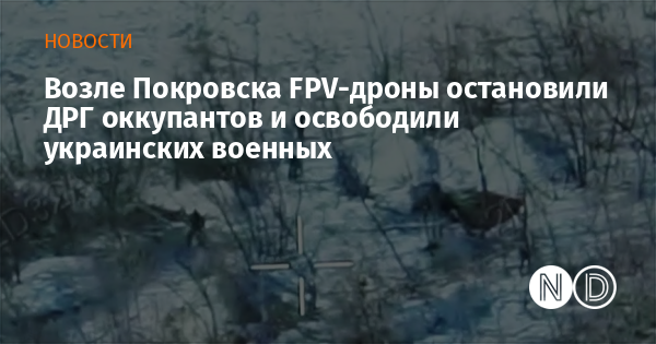 Возле Покровска FPV-дроны остановили ДРГ оккупантов и освободили украинских военных Возле Покровска FPV-дроны остановили ДРГ оккупантов и освободили украинских военных