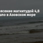 Землетрясение магнитудой 4,8 произошло в Азовском море