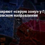 РФ расширяют «серую зону» у Гришино на Покровском направлении