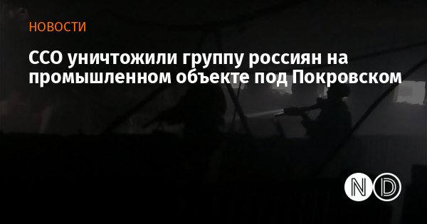 ССО уничтожили группу россиян на промышленном объекте под Покровском