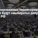 На оккупированных территориях Украины впервые будут «выбирать» депутатов в Госдуму РФ
