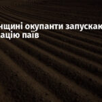 На Луганщині окупанти запускають конфіскацію паїв