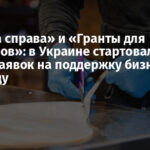 «Власна справа» и «Гранты для ветеранов»: в Украине стартовал прием заявок на поддержку бизнеса в 2026 году