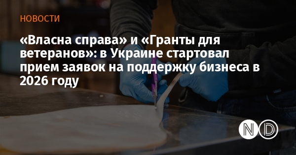 «Власна справа» и «Гранты для ветеранов»: в Украине стартовал прием заявок на поддержку бизнеса в 2026 году