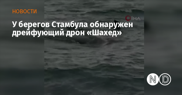 У берегов Стамбула обнаружен дрейфующий дрон «Шахед»