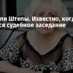 Дело Нели Штепы. Известно, когда состоится судебное заседание