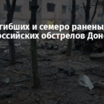 Двое погибших и семеро раненых за сутки российских обстрелов Донетчины
