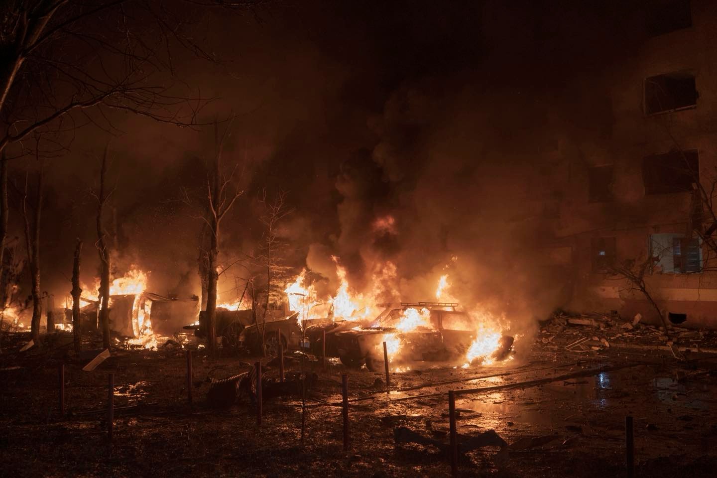 Фото: ГСЧС Донетчины