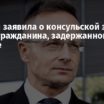 Венгрия заявила о консульской защите своего гражданина, задержанного в Украине